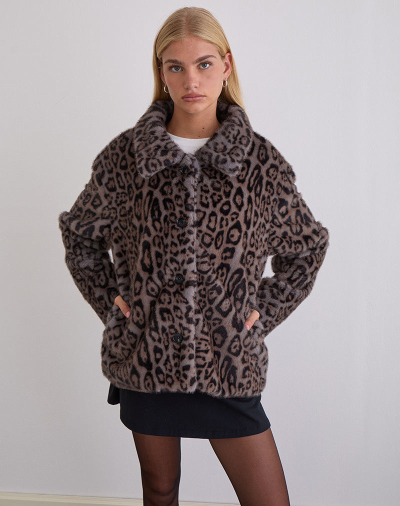 Image of Joji Jacke in Warm Grey Leopard