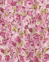 Blüte Blumen Rosa