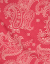 Retro Paisley Rosa