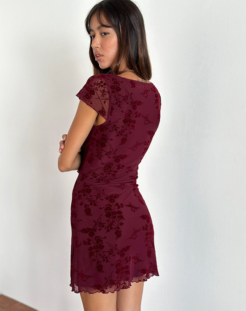Image of Lashka Minikleid in Botanical Flower Maroon