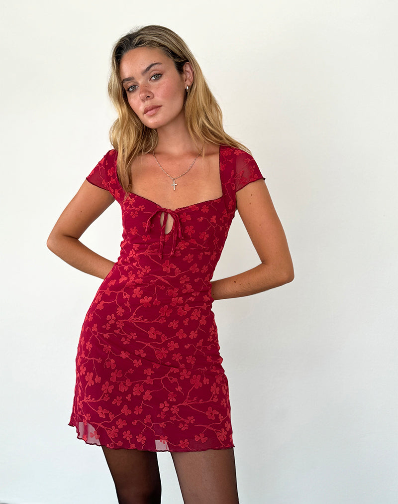 Lashka Minikleid in Rot Grunge Floral Flock