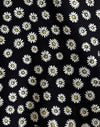  Grunge Gänseblümchen Schwarz