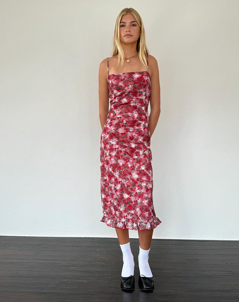 Image of Nawari Midikleid aus bedruckter Spitze Cherry