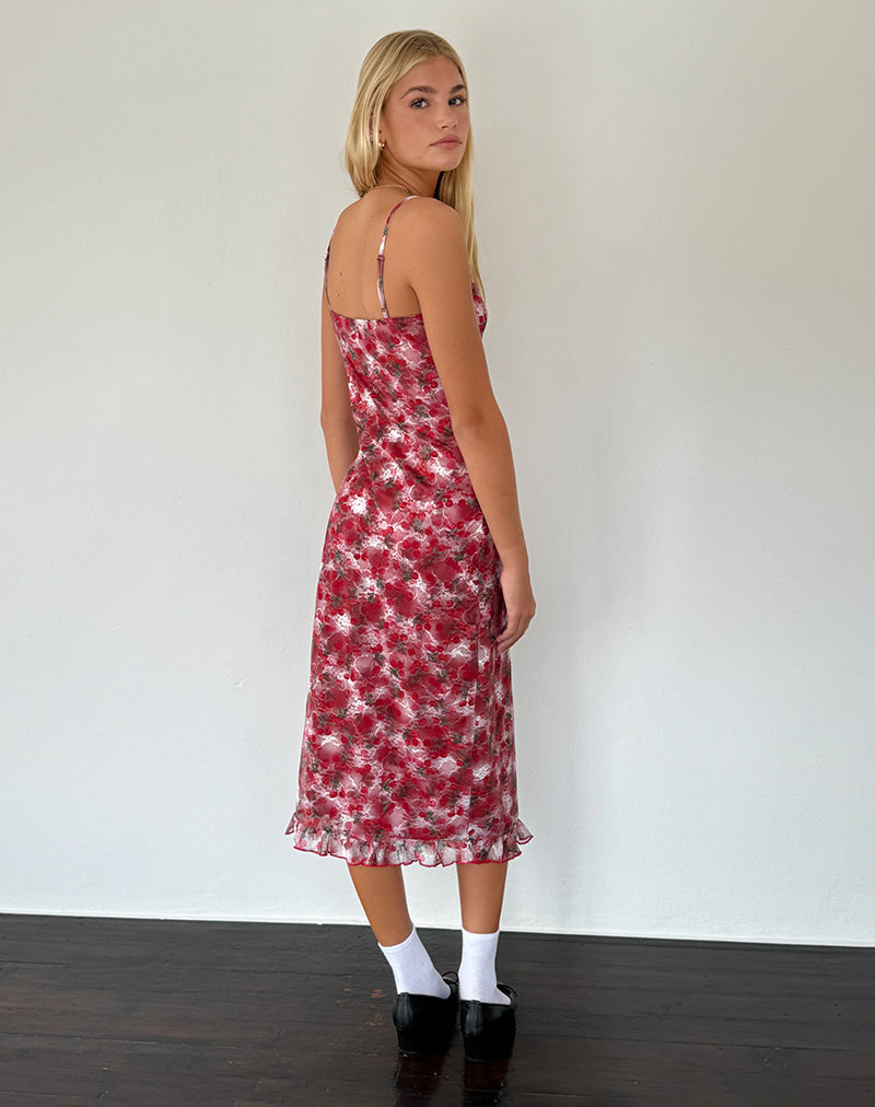 Image of Nawari Midikleid aus bedruckter Spitze Cherry