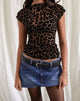 Bild von Nova Top aus Flockmesh Rar Leopard