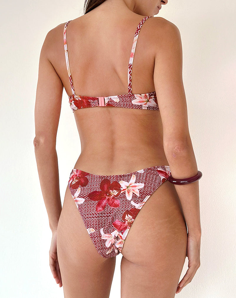 Bild von Pali Bikini Top in Zig Zag Lily Burgundy
