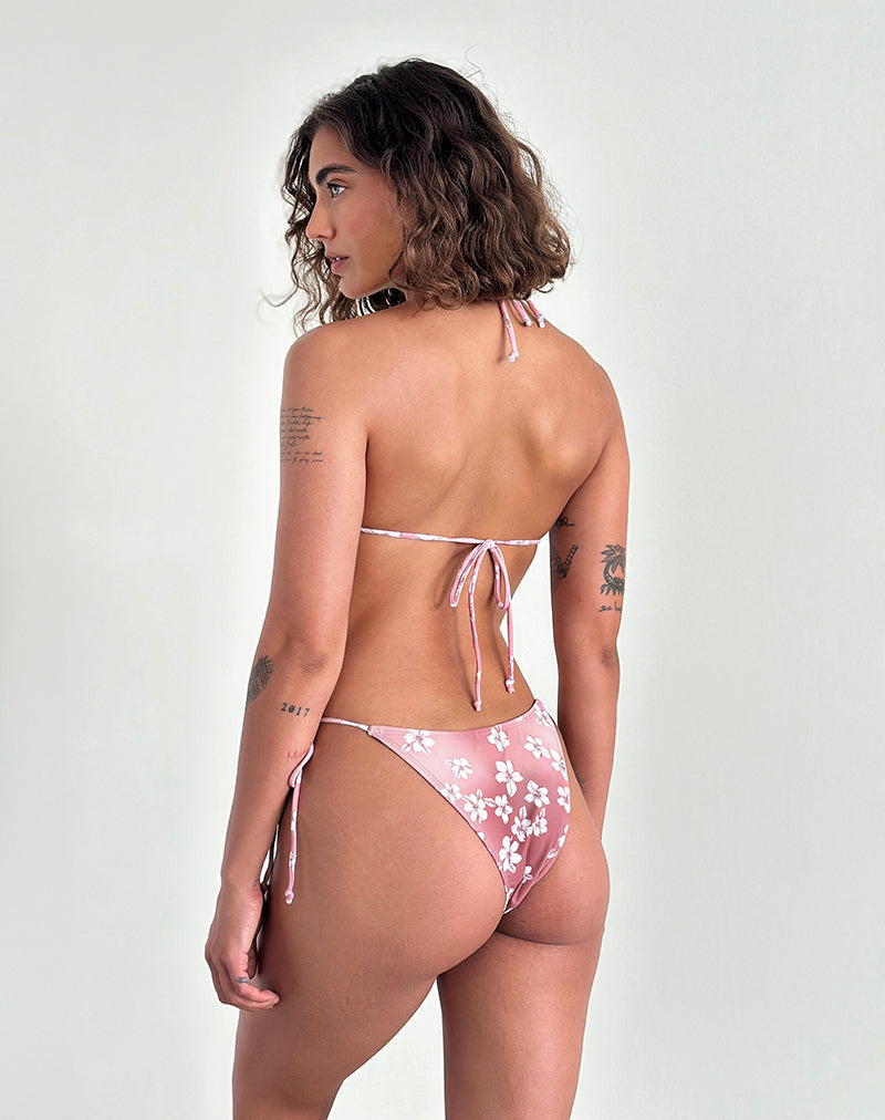 Bild von Lentra Bikini-Unterteil in Hibiscus Floral