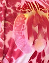  Orchidee Rosa