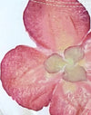 Elfenbein mit rosa Orchidee