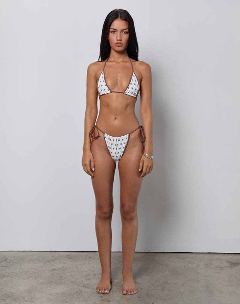 Image of Pami Bikini-Oberteil mit weißem und braunem Sternendruck und kontrastierender Bindung
