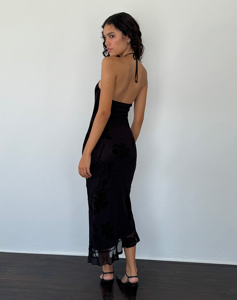 Image of Ribka Midikleid mit Neckholder aus Orchideenflock Schwarz