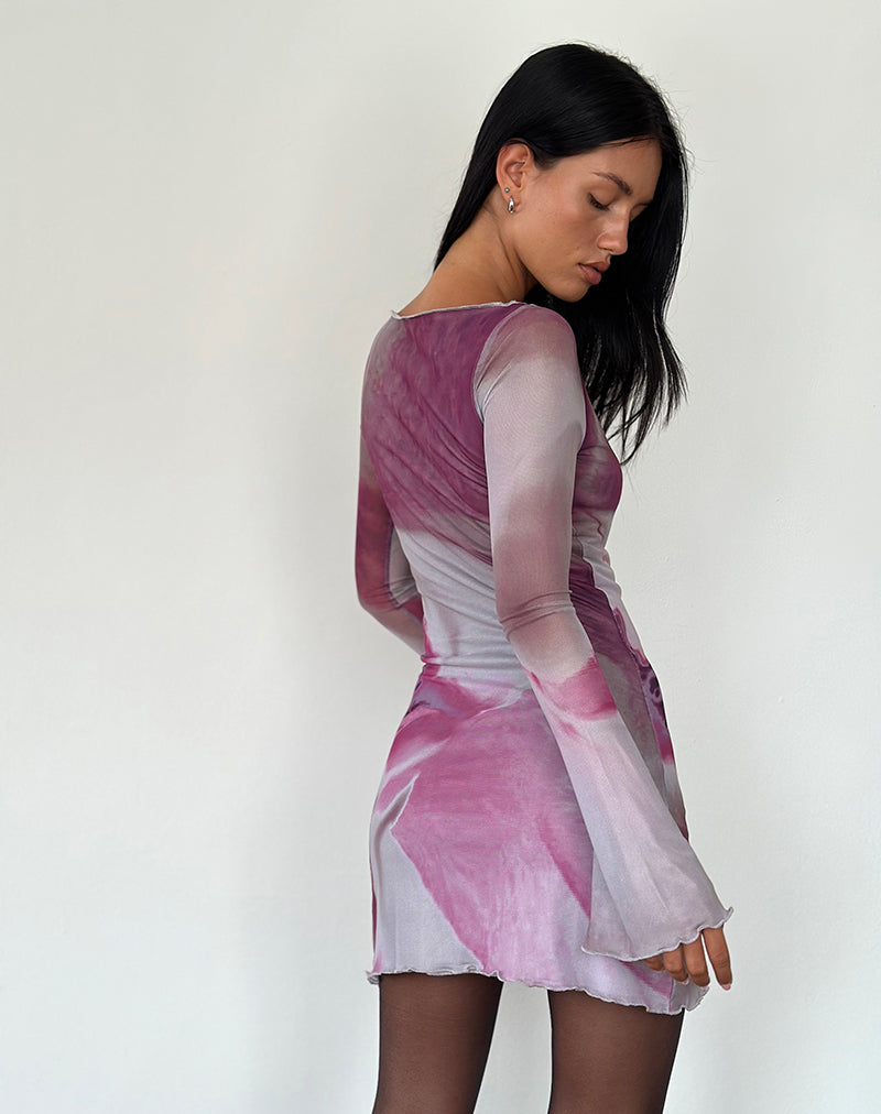 Sevila Minikleid in Anatomie der Natur Rosa