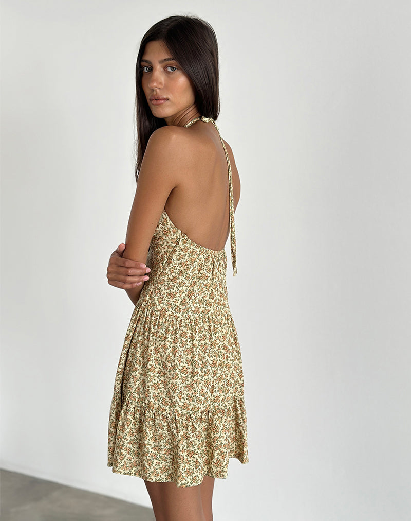 Bild von Siskana Minikleid in Washed Ditsy