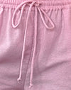 Flamingo rosa