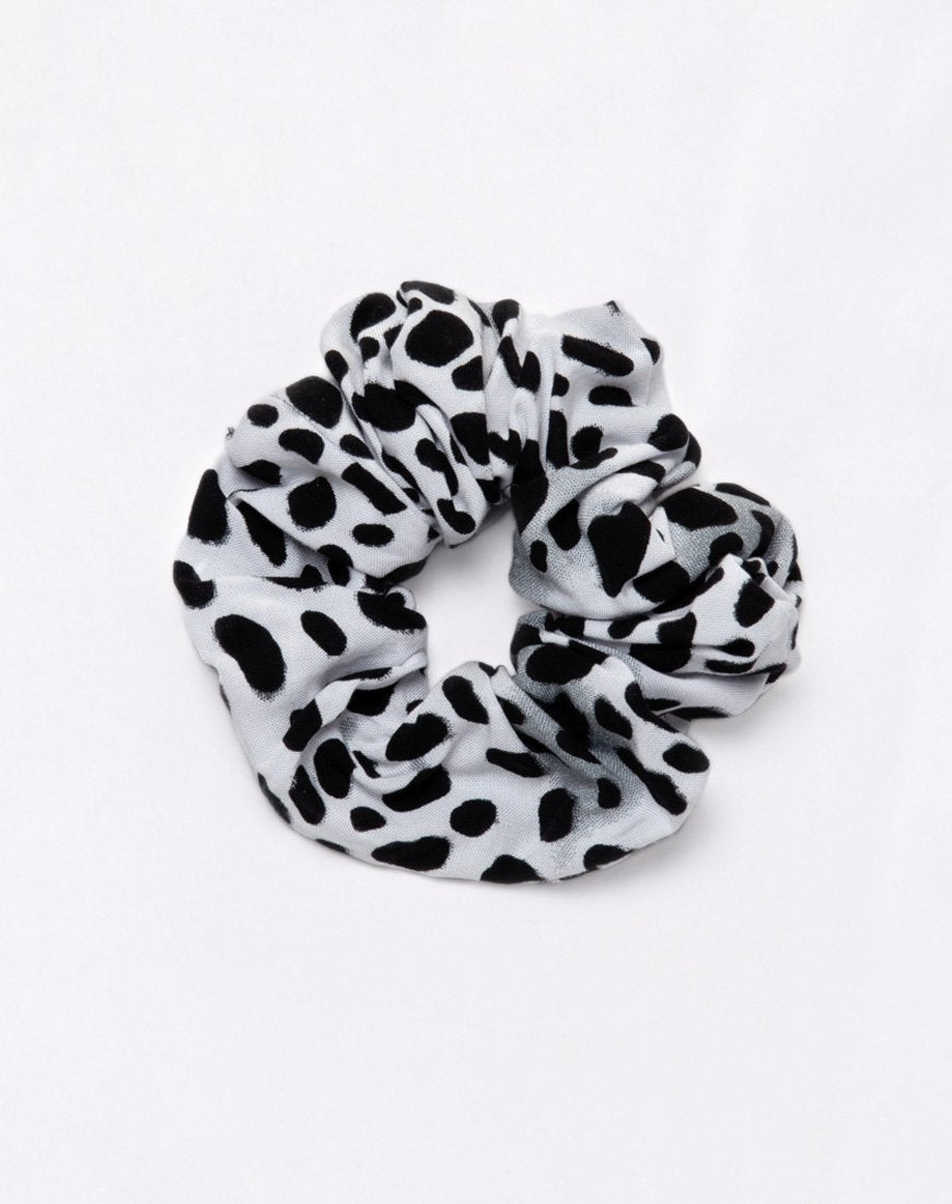 Bild von Scrunchie in Dalmatiner