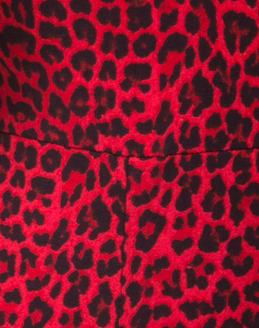 Bild von Acro Unitard in Buntes Tier