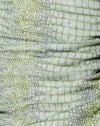 Limette Krokodil