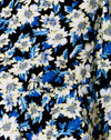 Aster Blau
