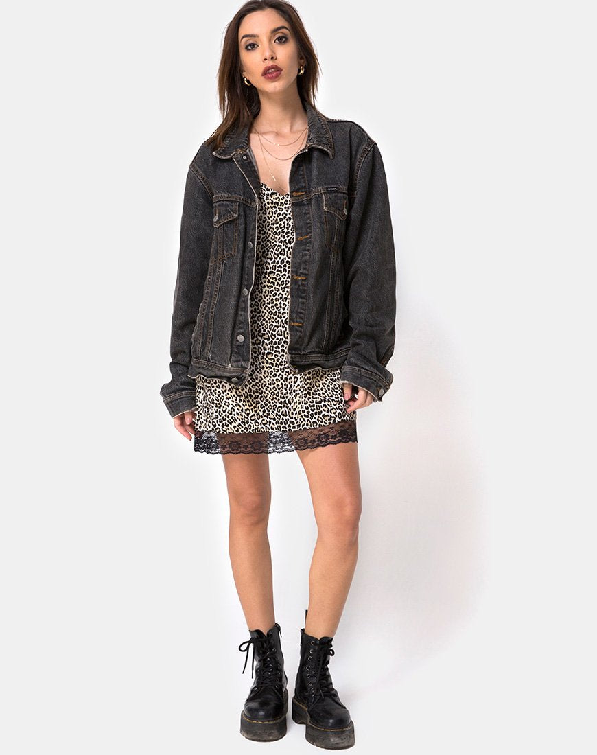 Image of Balace Slip Dress in Rar Leopard mit schwarzer Spitze