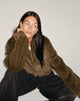 Bild von Banowa Zip Up Jacke in Olive