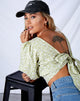 Bild von Bija Crop Top in Botanic Mint Foam