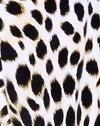 Gepard