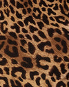 Nacht Leopard Braun