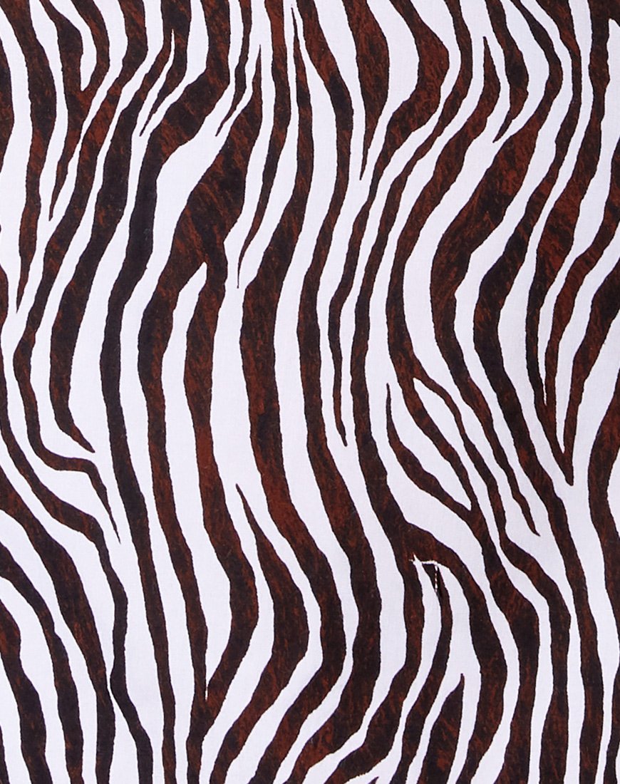 Bild von Datista Slip Dress in Zebra Vertikal