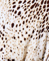 Sandleopard