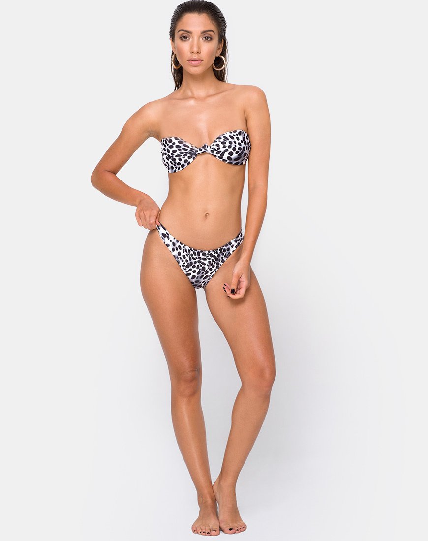 Dita Bikini-Unterteil in Dalmatiner