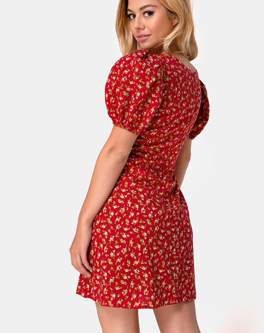 Bild von Elfira Kleid in Falling for You Floral Rot
