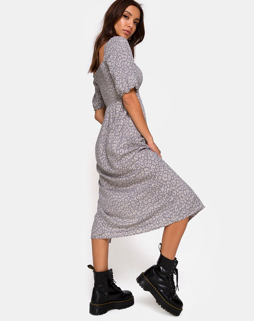 Image of Eloya Midikleid in Leopard Daze Grau