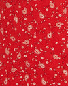 Paisley Fun Rot