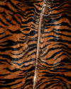 Tiger Braun