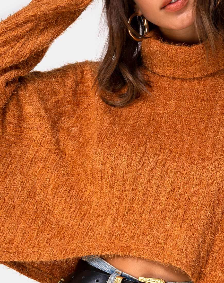 Bild von Evie Cropped Sweatshirt in Rust Knit
