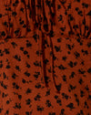Zierliches Gänseblümchen Bombay Brown