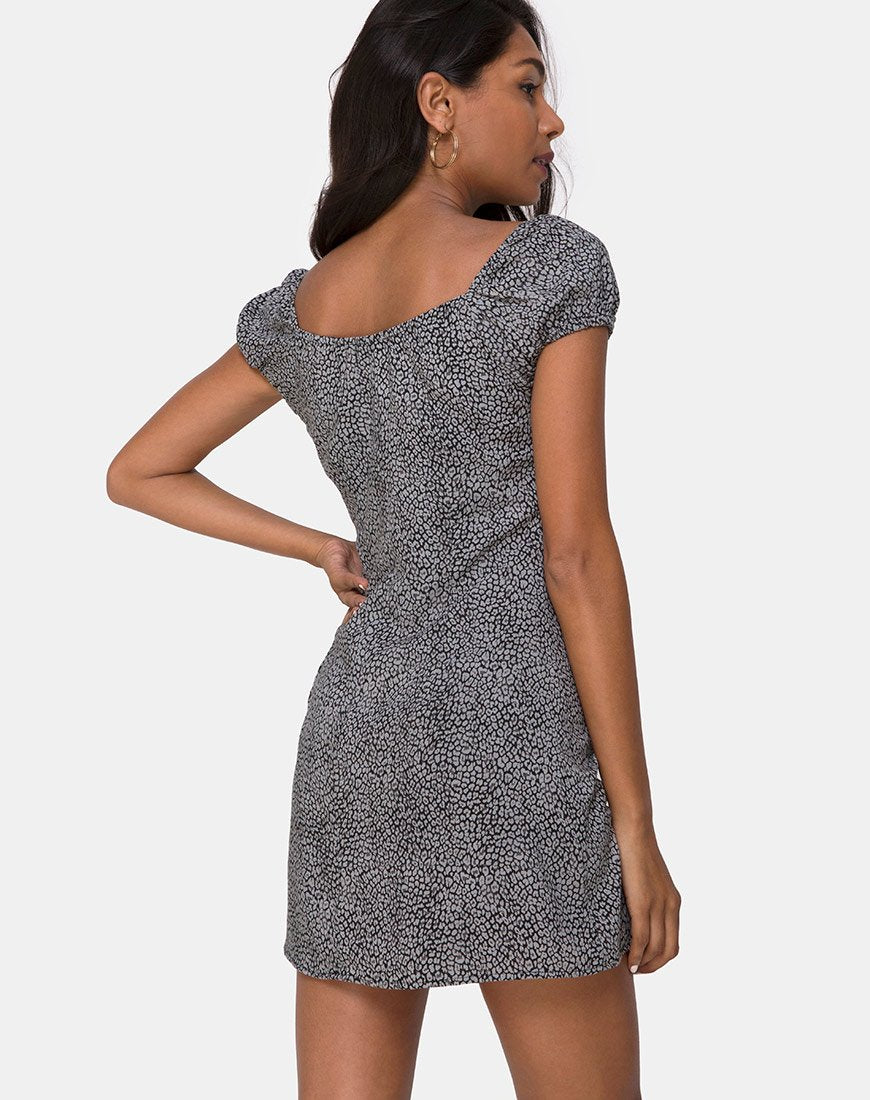 Image of Gaval Kleid in Ditsy Leopard Grau