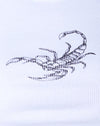 Weißer Skorpion