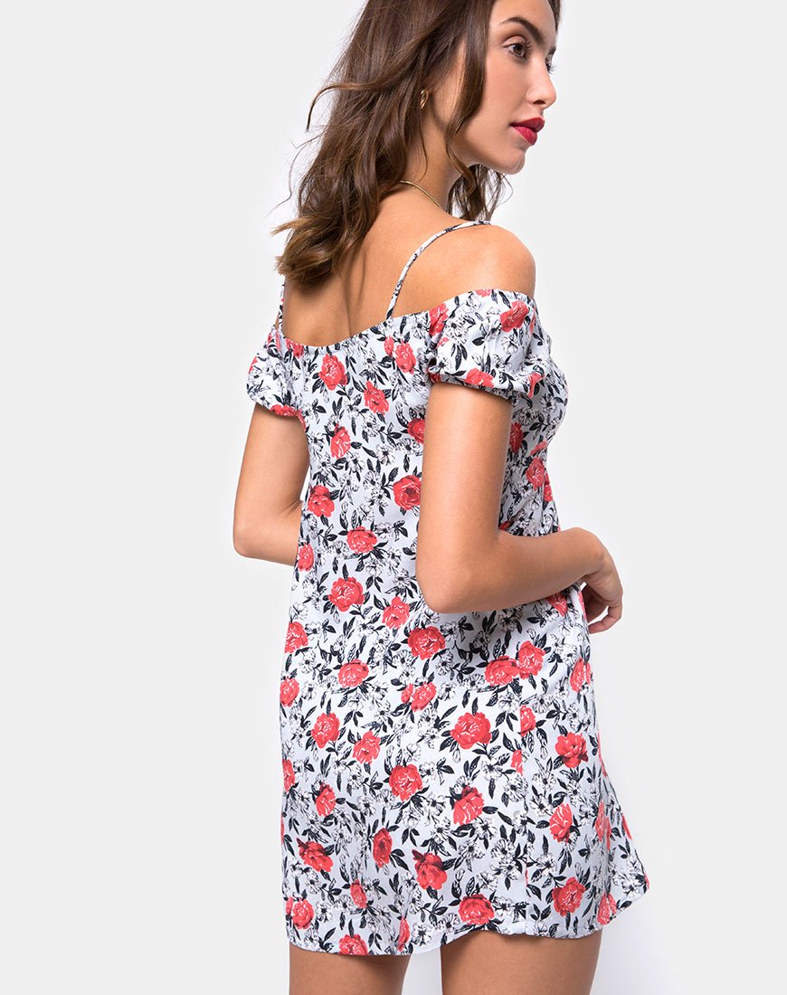 Bild von Karoo Mini Dress in Blooming Rose