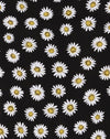  Grunge Gänseblümchen Schwarz
