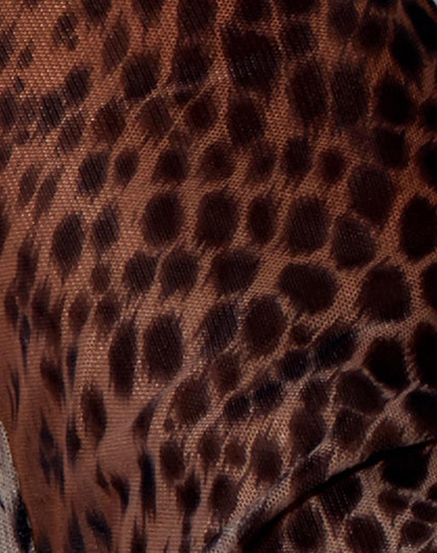 Image of Herlom Hose aus Mesh Gradient Cheetah Brown