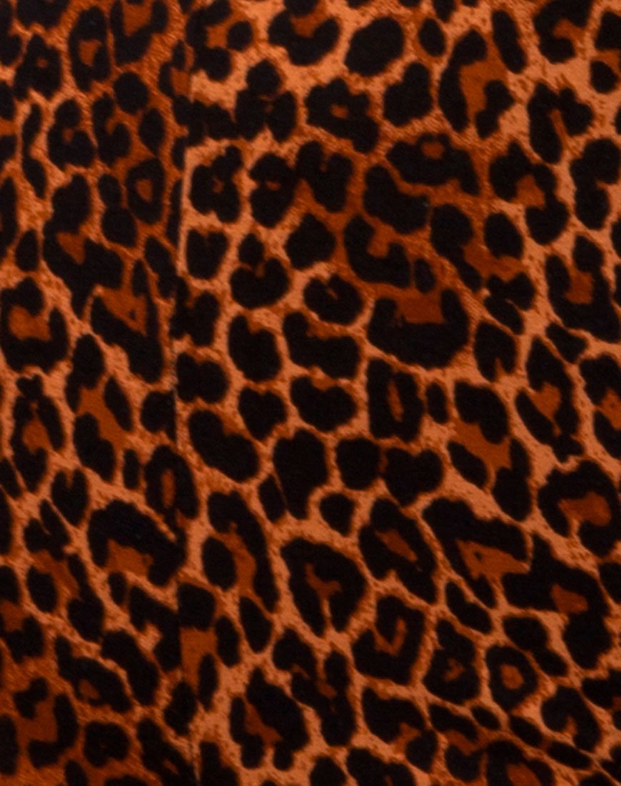 Bild von Hot Pant in Ditsy Leopard Orange