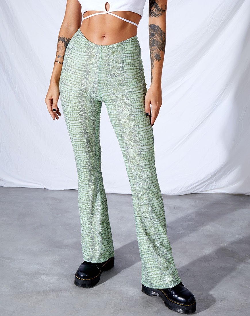 Devan Hose in Limette Croc