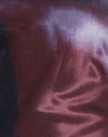  Juvina Aquarell Pflaume