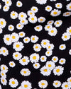 Mini Gänseblümchen Schwarz