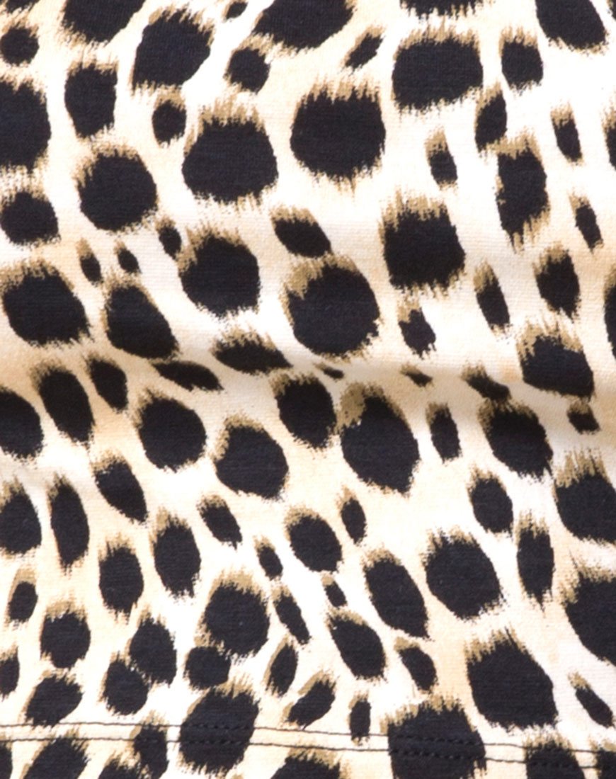 Bild von Kimmy Rock in Cheetah