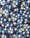 BlumenFeldMarine