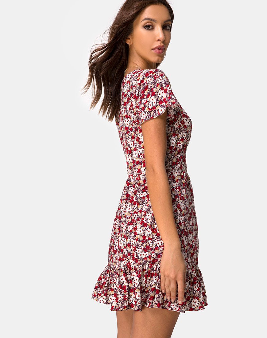 Laily Skater-Kleid mit floralem Charme Rot
