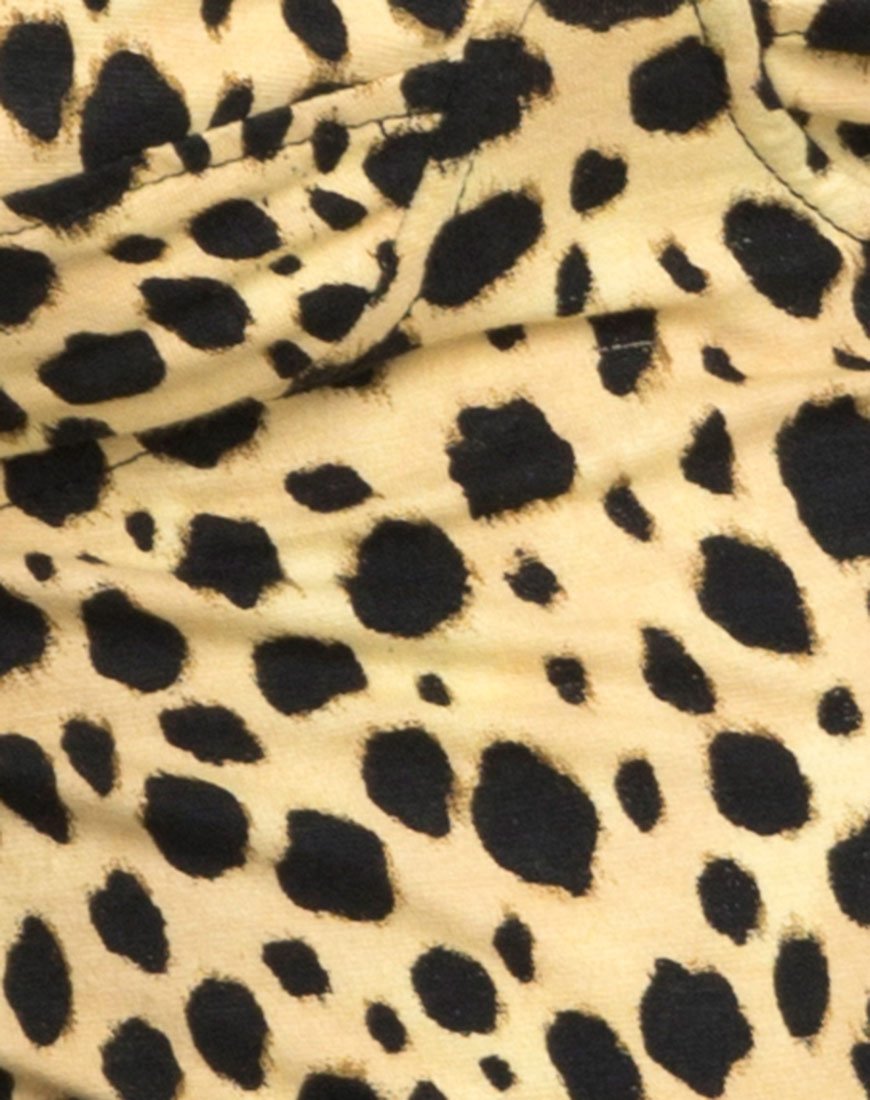 Bild von Lanti Mieder in Cheetah