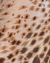 Sandleopard